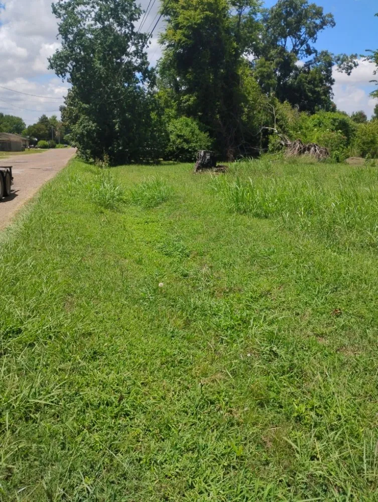 Affordable lawn care service in Tallulah, LA by Kentay Lawn Service