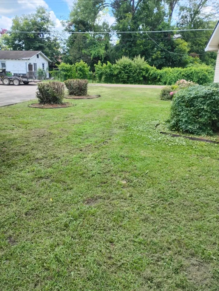 Affordable residential landscaping in Tallulah, LA - Kentay Lawn Service