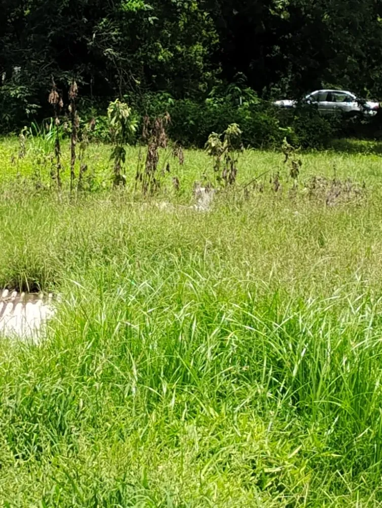 Custom garden landscaping in Tallulah, LA by Kentay Lawn Service