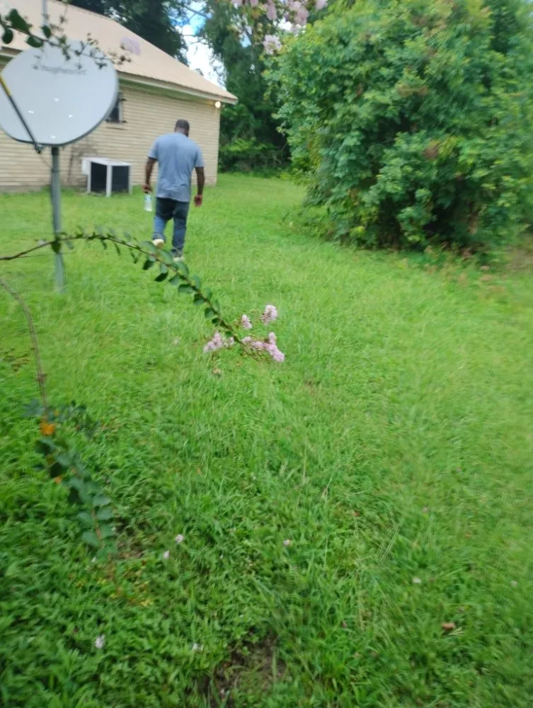 Professional outdoor landscaping experts serving Tallulah, LA - Kentay Lawn Service