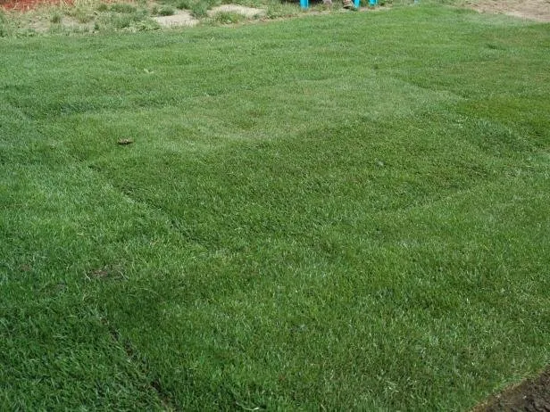 Top-rated residential landscaping for residential properties in Biloxi, MS by Kent's Clean Cuts