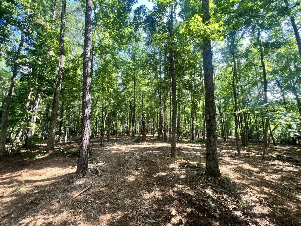 Custom residential landscaping for homes in La Fayette, AL by Kents Earthworks Land Management