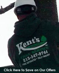 Trusted yard maintenance near you in Morrisville, PA by Kent's Tree Service