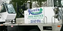Professional landscape design experts serving Morrisville, PA - Kent's Tree Service