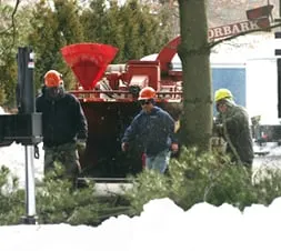 Professional lawn care service for year-round maintenance in Morrisville, PA by Kent's Tree Service