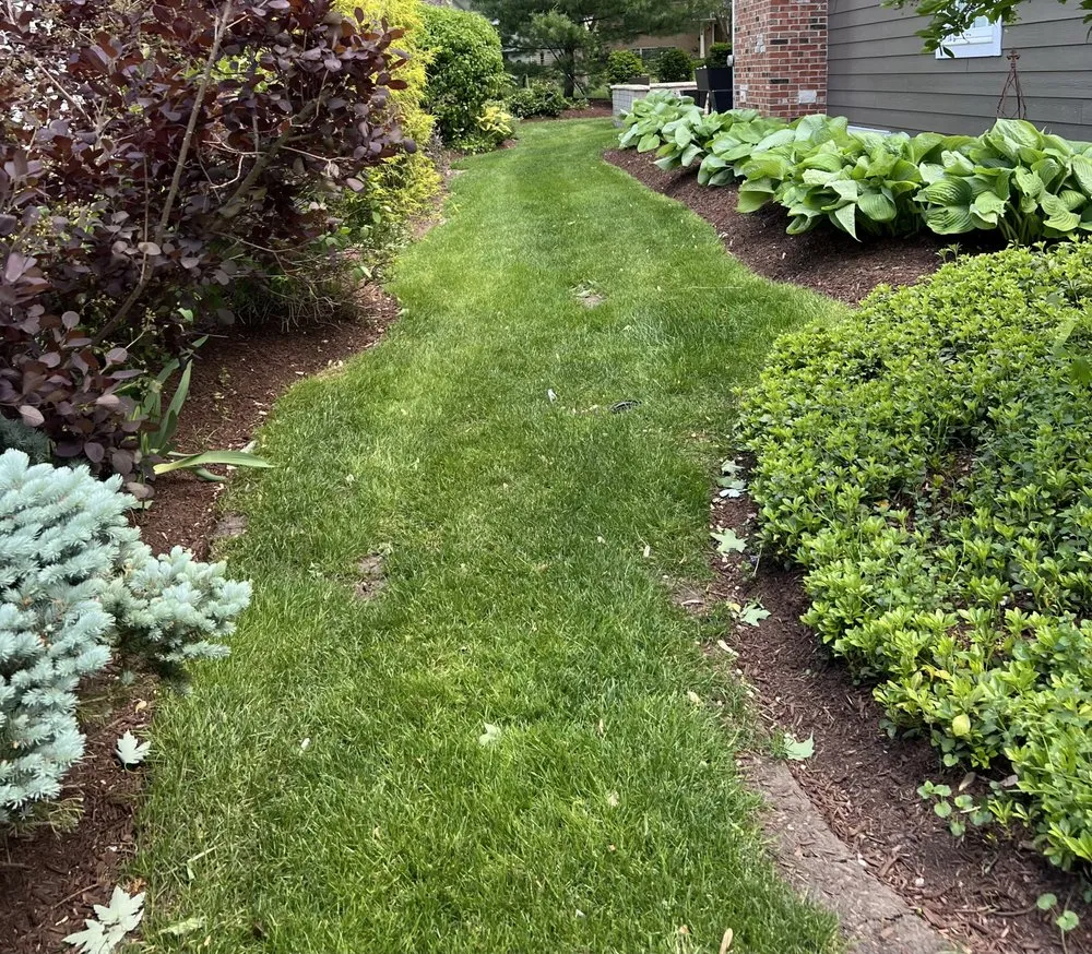 Expert yard maintenance in West Chicago, IL - Kentucky BlueScape