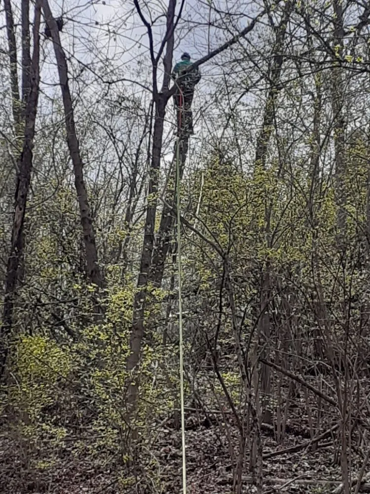 Reliable lawn mowing service in Newport, KY by Kentucky Lawn and Leaf