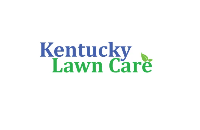 Professional outdoor landscaping in Lexington, KY - Kentucky Lawn Care