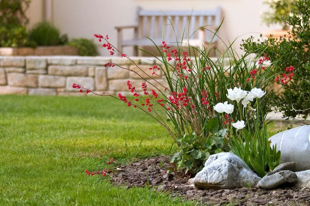 Trusted yard maintenance in Lexington, KY - Kentucky Lawn Care