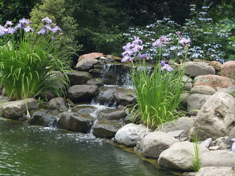 Expert lawn care service in Lexington, KY - Kentucky Lawn Care