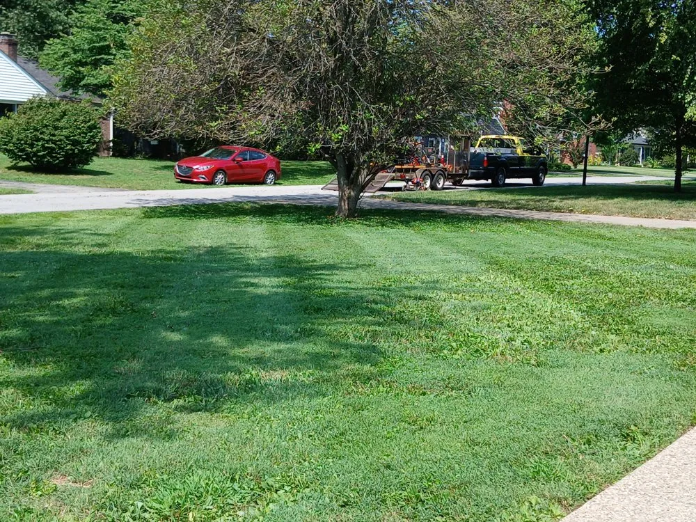 Top-rated landscape installation for homes across Louisville, KY - Kentucky Lawnscapes