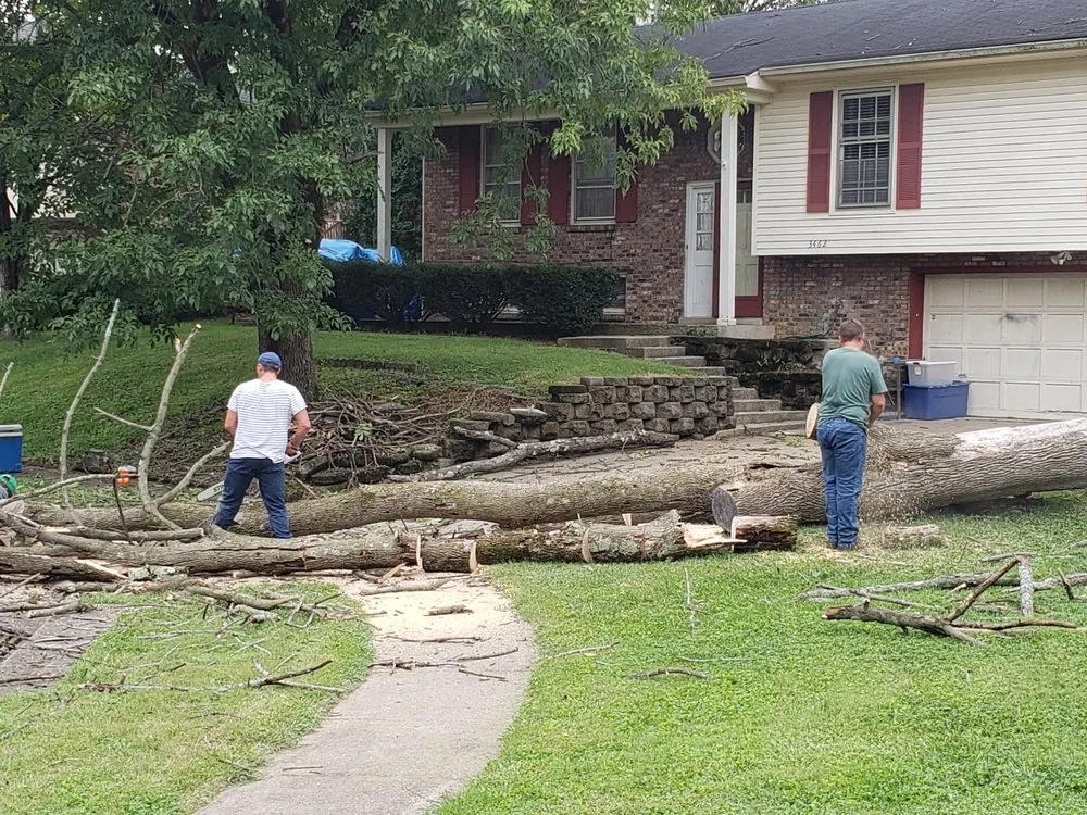 Expert landscape design in Lexington, KY - Kentucky Tree Service