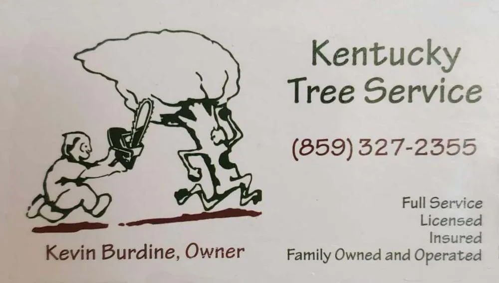 Reliable yard maintenance for year-round maintenance in Lexington, KY by Kentucky Tree Service