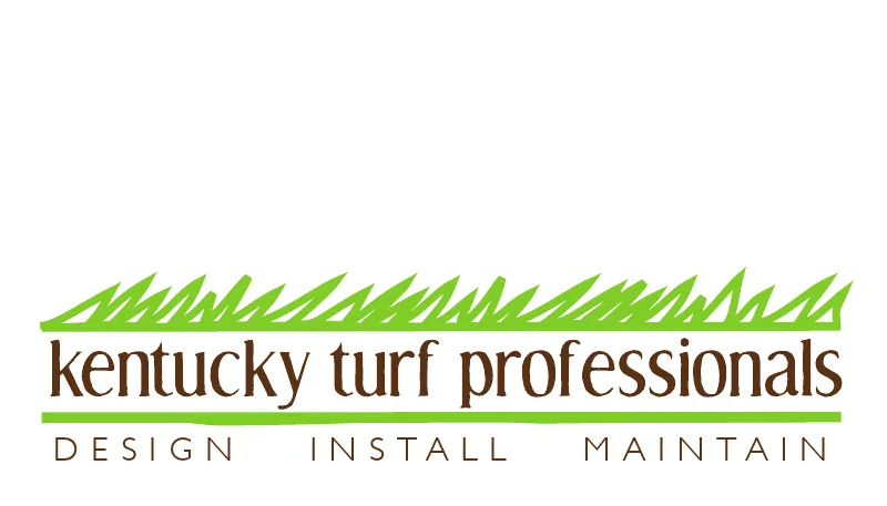 Expert yard cleanup service in Elizabethtown, KY by Kentucky Turf Professionals