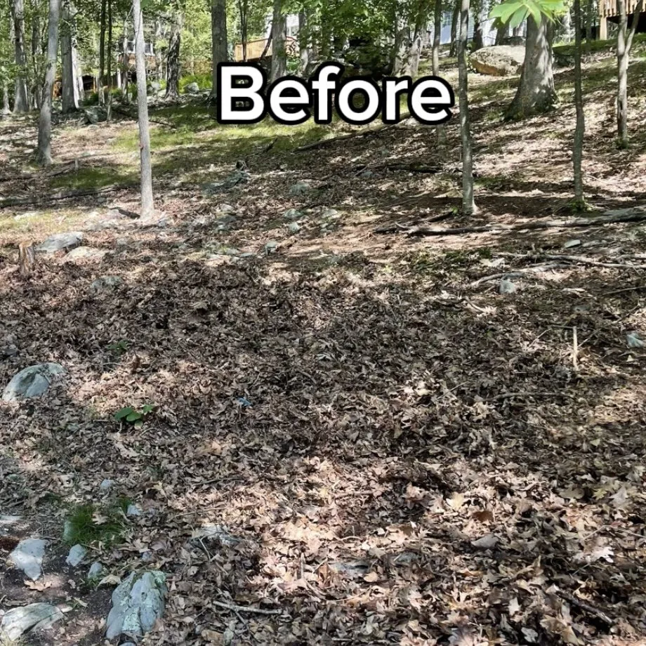 Trusted landscape installation in Saw Creek, PA by Kenyi Home Improvement