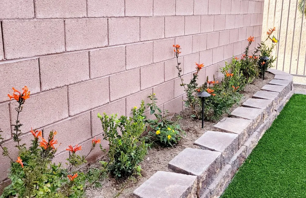 Custom yard maintenance experts serving Las Vegas, NV - Keny’s Landscaping