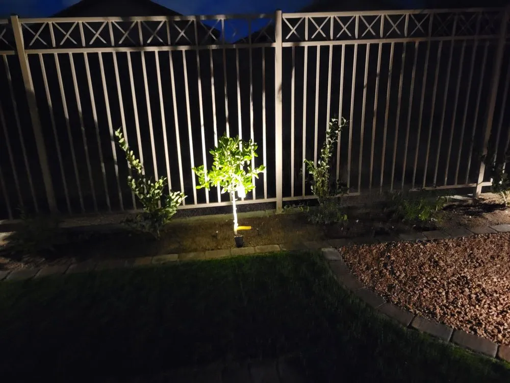 Reliable landscaping services for homes in Las Vegas, NV by Keny’s Landscaping