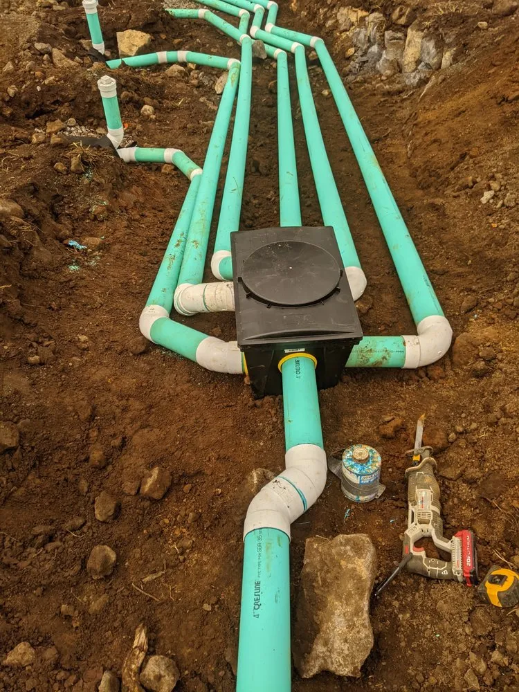 Reliable residential landscaping in Captain Cook, HI by Keola Services