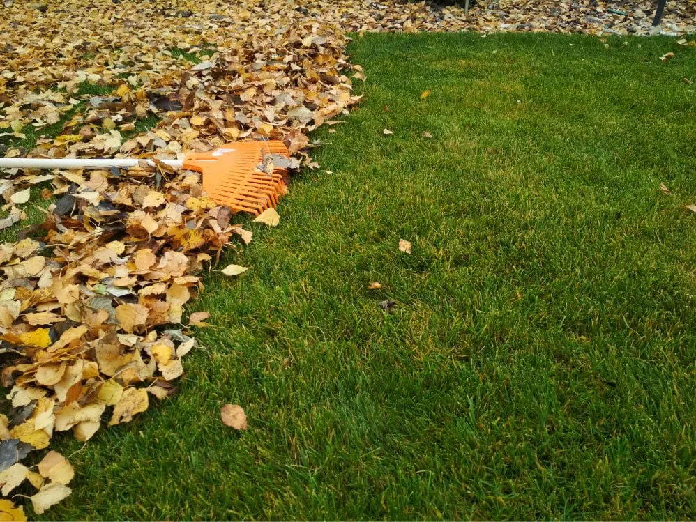 Reliable landscape installation near you in Waukee, IA by Keon’s Leaf Removal