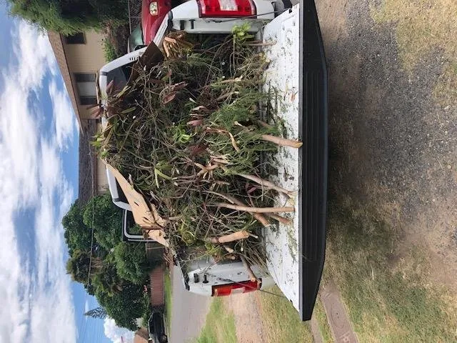 Expert landscape installation in Waianae, HI by Kepa Can