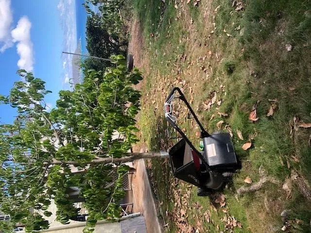 Affordable outdoor landscaping experts serving Waianae, HI - Kepa Can