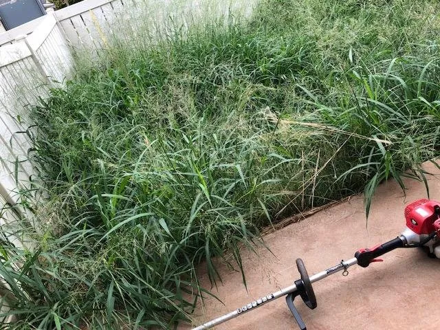 Trusted yard maintenance in Waianae, HI - Kepa Can