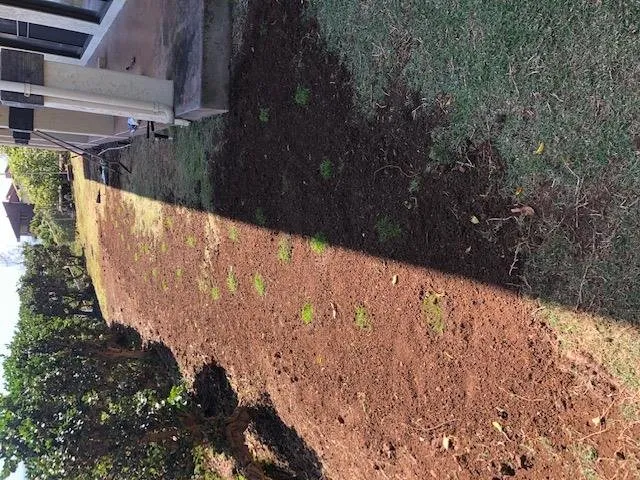 Affordable lawn mowing service in Waianae, HI by Kepa Can