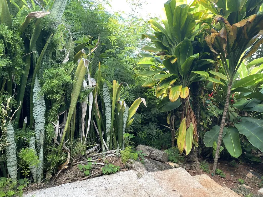 Affordable residential landscaping for beautiful yards in Waianae, HI by Kepa Can