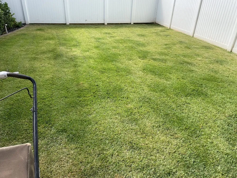 Trusted lawn mowing service in Waianae, HI - Kepa Can