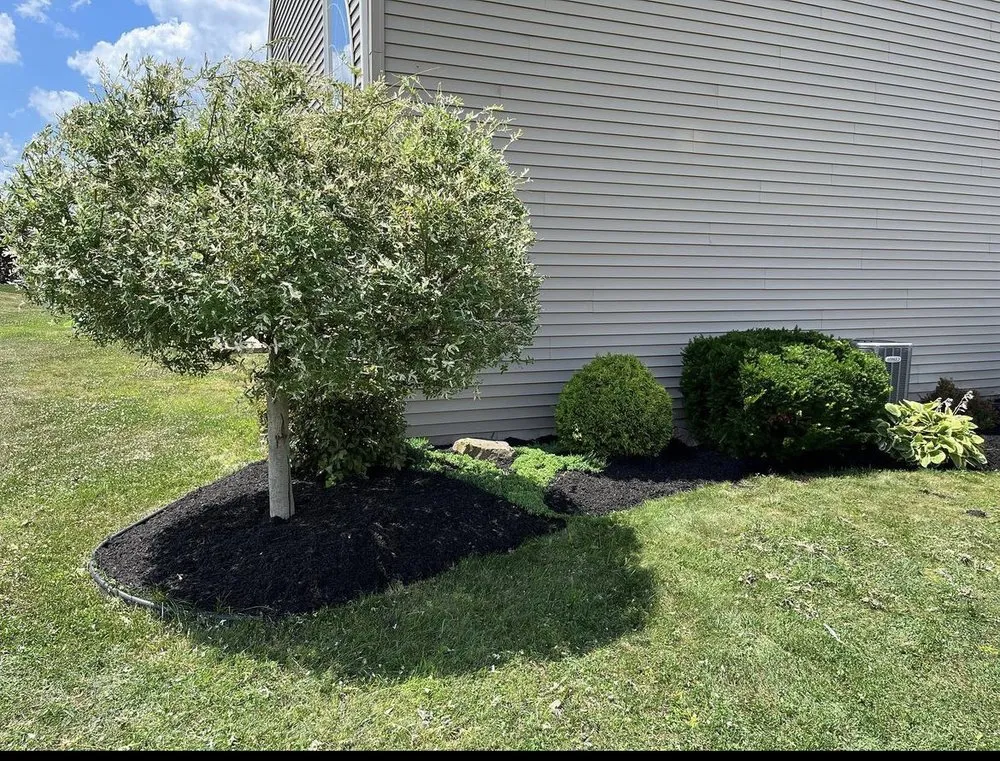 Top-rated lawn care service with custom design across Denver, PA - Keppley's Landscaping