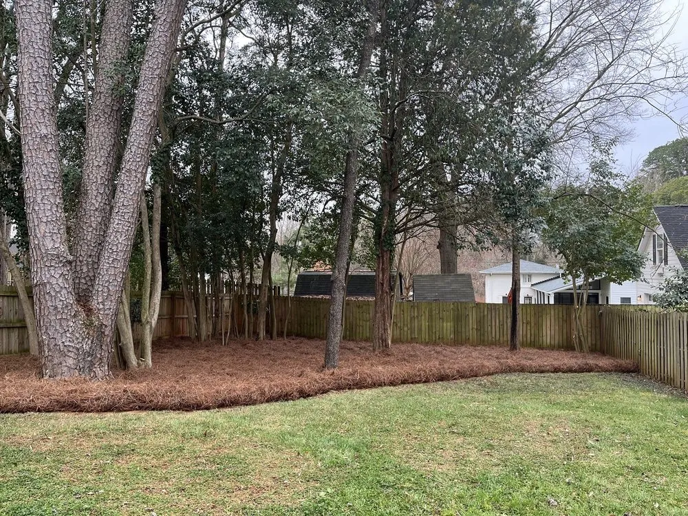 Professional yard cleanup service in Charlotte, NC - Kept Landscaping