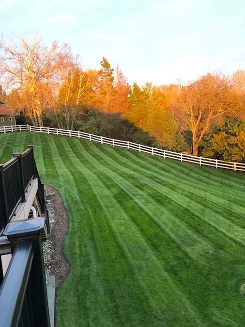 Reliable residential landscaping in Charlotte, NC - Kept Landscaping