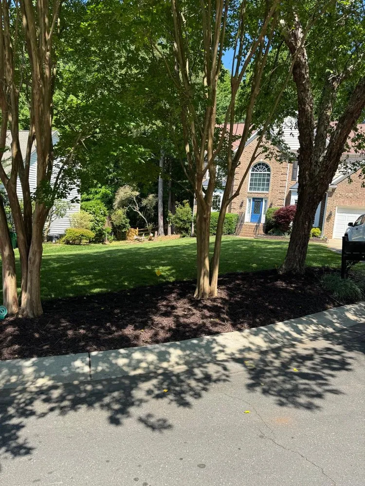 Expert landscaping services in Charlotte, NC - Kept Landscaping