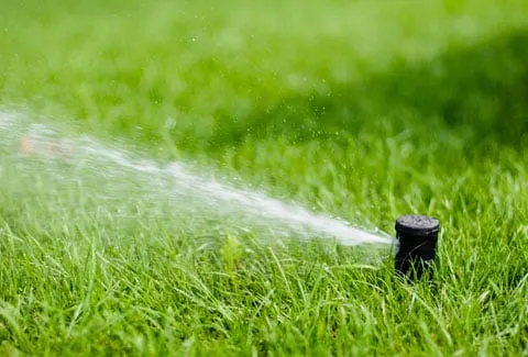 Local yard cleanup service in Bakersfield, CA by Kern Lawn Borders