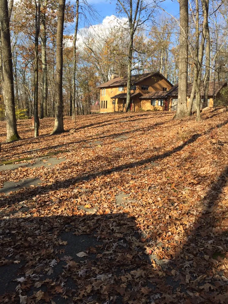 Affordable yard cleanup service in Stroudsburg, PA by Kern Property Service