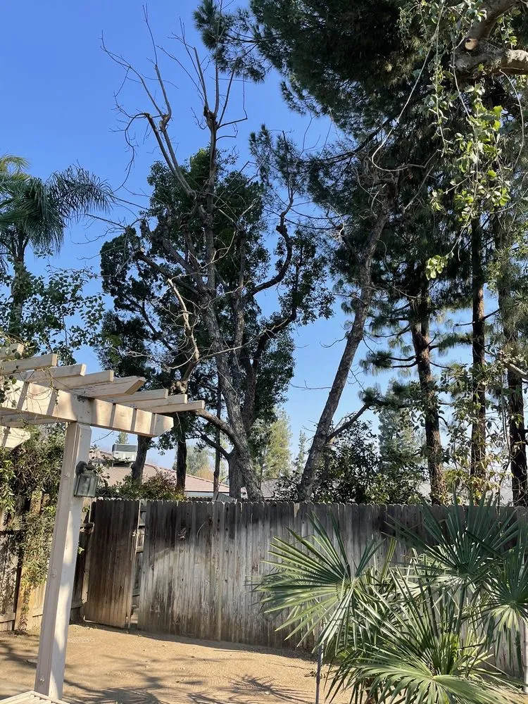 Trusted landscape installation near you in Bakersfield, CA by Kern tree service