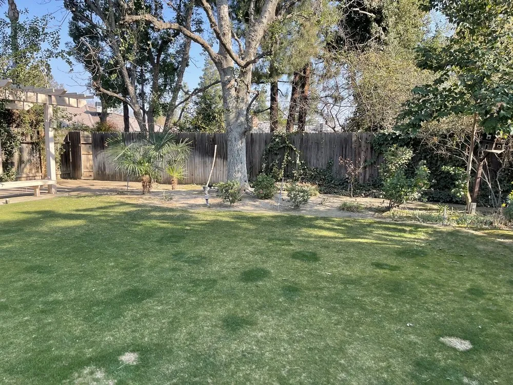 Trusted residential landscaping in Bakersfield, CA - Kern tree service