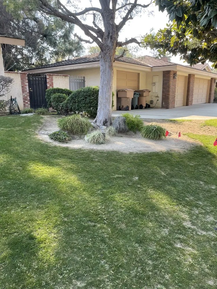 Top-rated landscape design experts serving Bakersfield, CA - Kern tree service