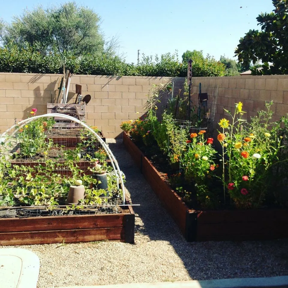 Top-rated outdoor landscaping in Bakersfield, CA by Kern Valley Landscaping