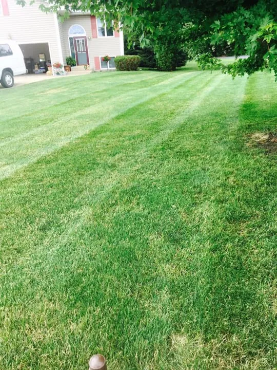 Trusted yard maintenance for year-round maintenance in Princeton, IL by Kernan's Lawn Service & Fertilizing