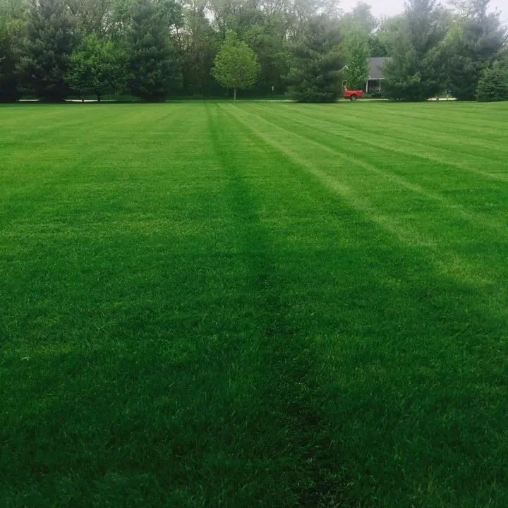 Custom lawn mowing service in Princeton, IL - Kernan's Lawn Service & Fertilizing