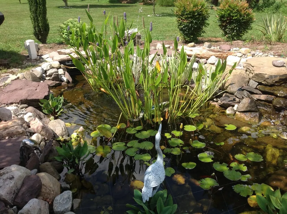 Trusted landscaping services experts serving Mt Airy, MD - Kerr Landscaping