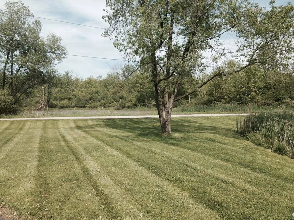 Reliable lawn care service in Vernon, NY by Kerr Landscaping
