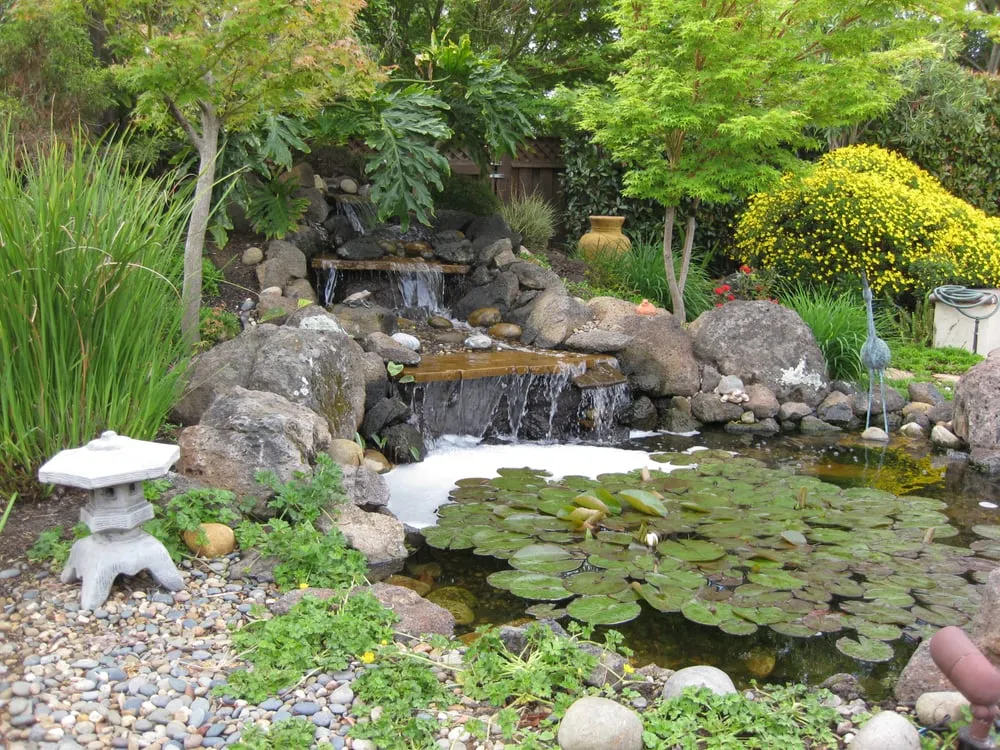 Professional lawn care service for beautiful yards across Livermore, CA - Kerri Landscape Services