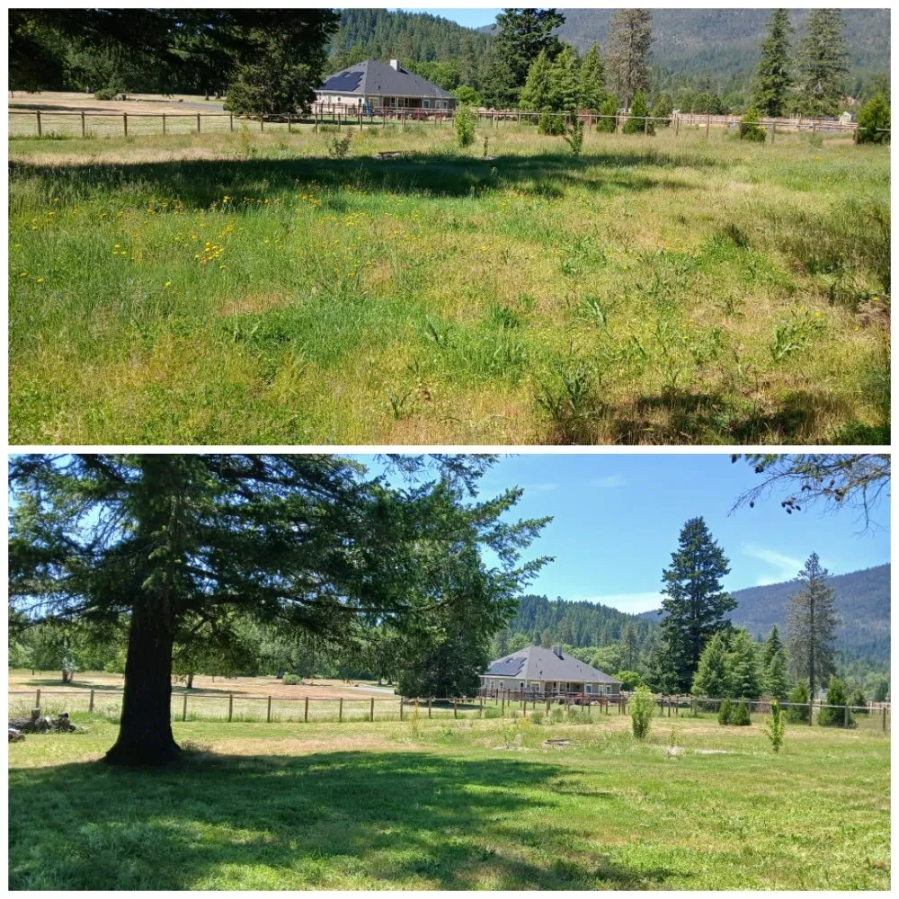 Reliable yard cleanup service in Kerby, OR by Kerry Smith Lawn and Yard Maintenance