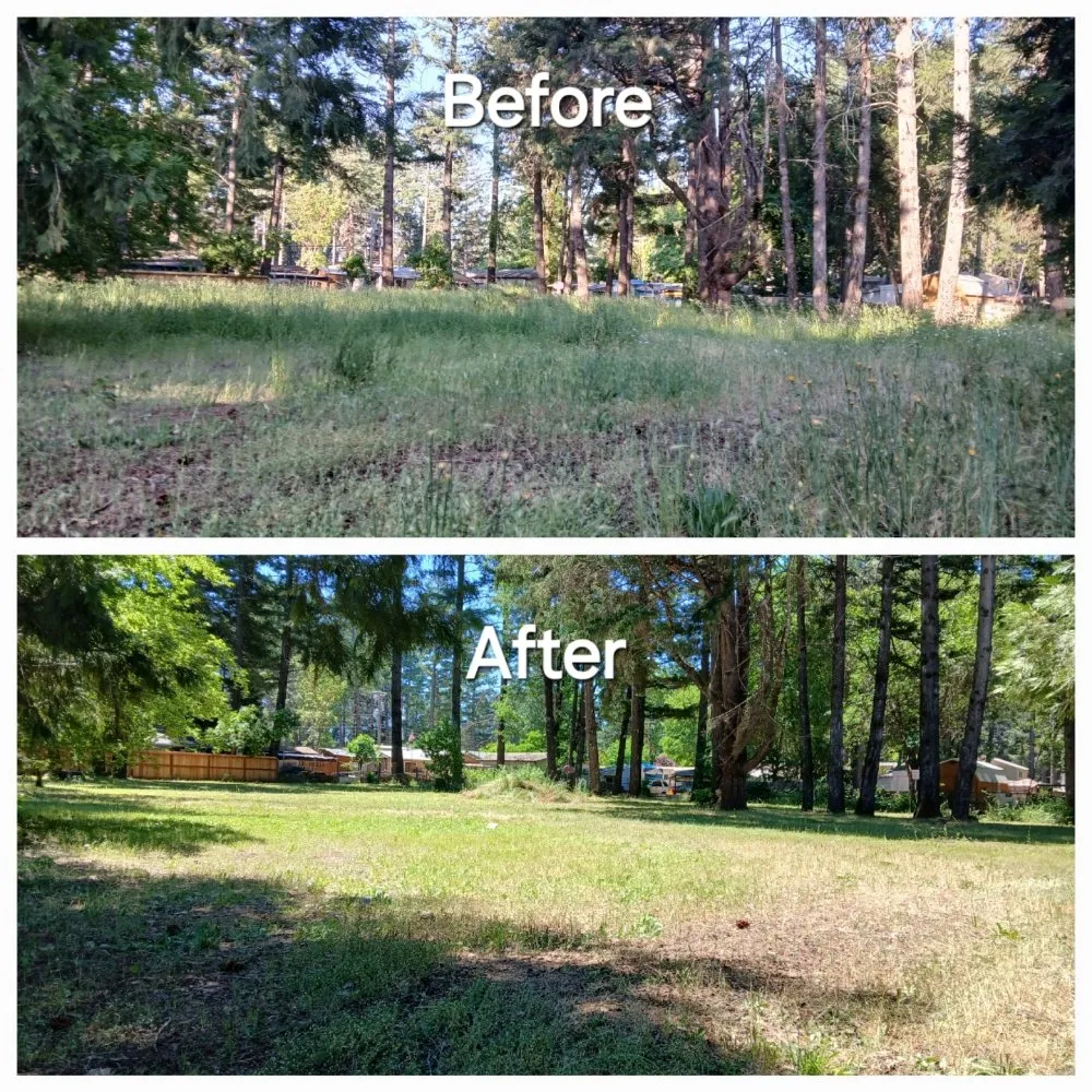 Trusted landscape installation experts serving Kerby, OR - Kerry Smith Lawn and Yard Maintenance