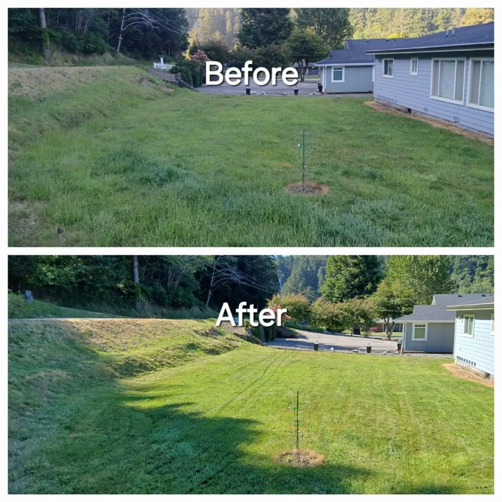 Affordable yard cleanup service in Kerby, OR by Kerry Smith Lawn and Yard Maintenance