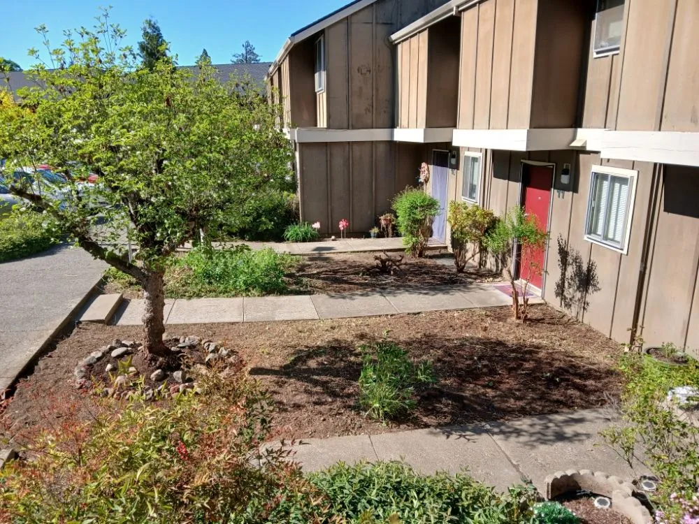 Affordable residential landscaping near you in Kerby, OR by Kerry Smith Lawn and Yard Maintenance