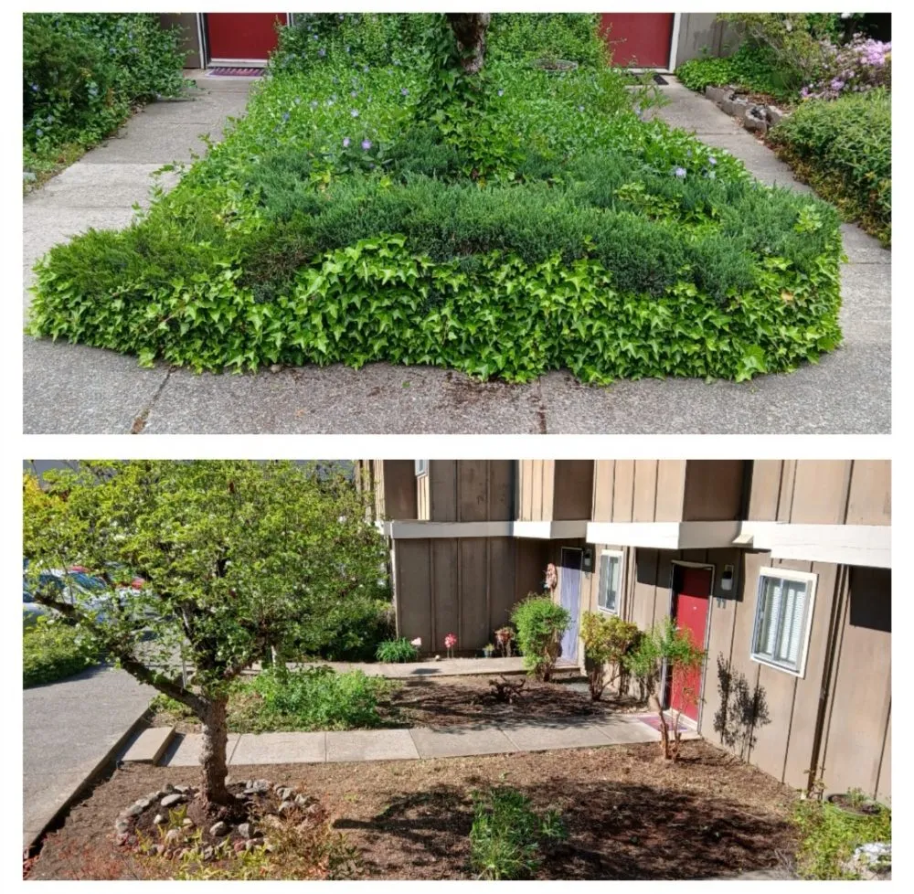 Local landscape installation for residential properties across Kerby, OR - Kerry Smith Lawn and Yard Maintenance