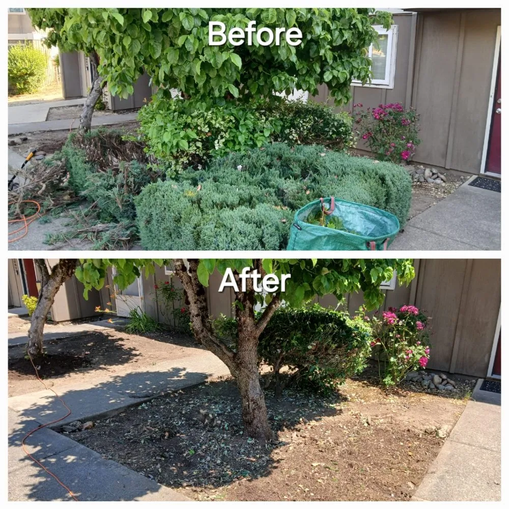 Custom landscaping services for beautiful yards across Kerby, OR - Kerry Smith Lawn and Yard Maintenance